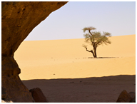 sahara algerie